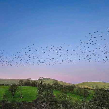Wild Valley Bunkhouse Llanrhaeadr-ym-Mochnant Екстериор снимка
