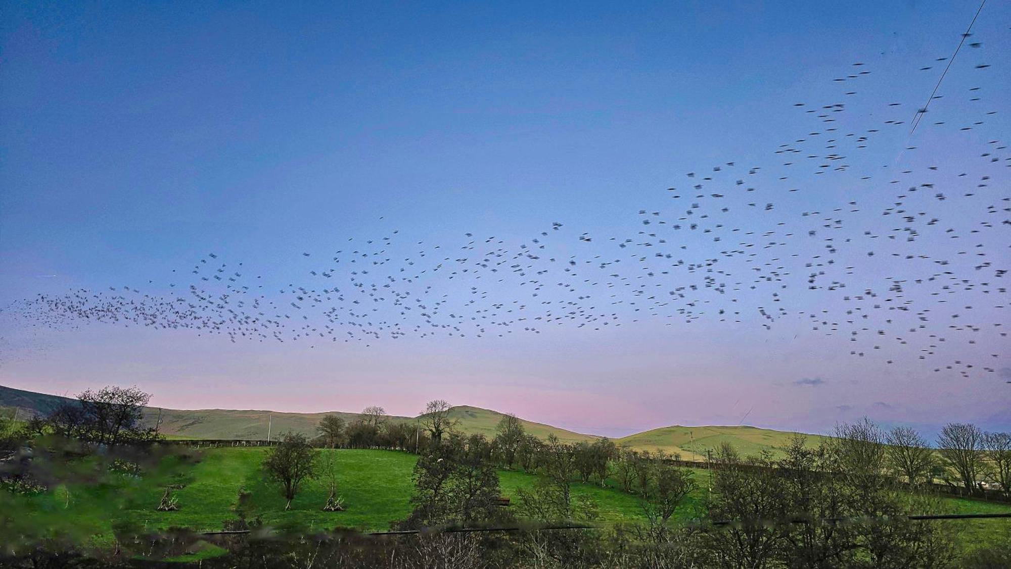 Wild Valley Bunkhouse Llanrhaeadr-ym-Mochnant Екстериор снимка